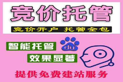 百度竞价托管公司案例分析：打造行业领军企业